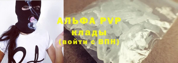 гашик Нефтекумск