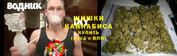 гашик Нефтекумск