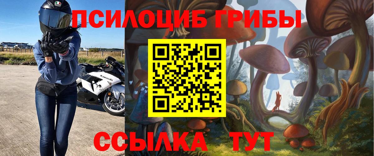 Псилоцибиновые грибы прущие грибы  Галлюциногенные грибы Magic Shrooms  Корсаков  Вход с VPN 