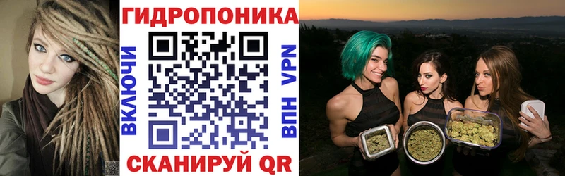 Конопля семена  Корсаков 